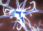 Neuron