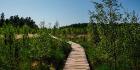 Wooded walkway outdoors