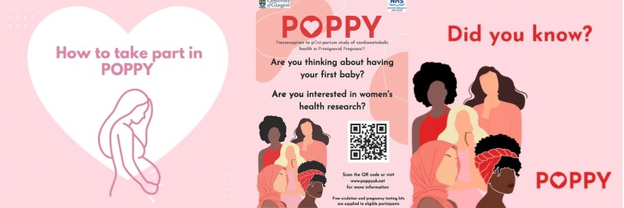 Poppy Poster