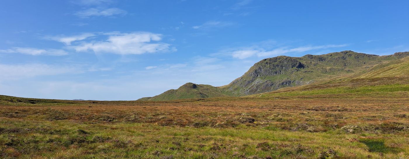 Ben Lawers NTS peatland; Photo credit: Phil Gould