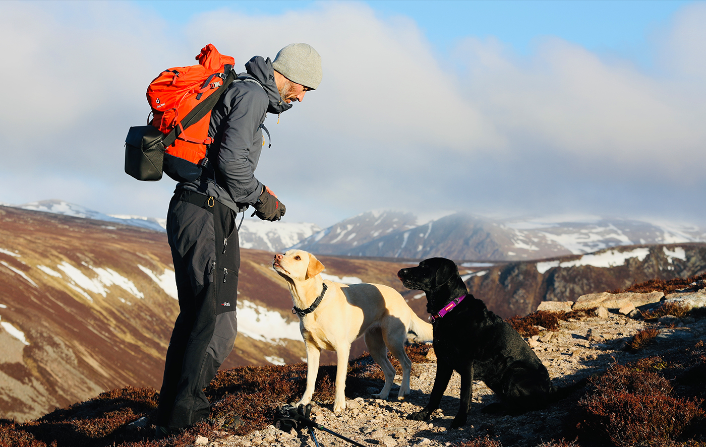 Andrew Cotter hiking with dogs