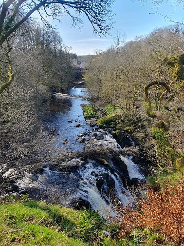 A forest river gorge with a weir and water cascade