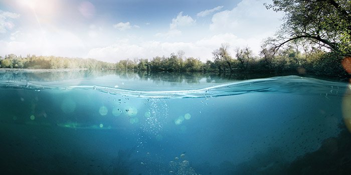 Under water with trees in distance