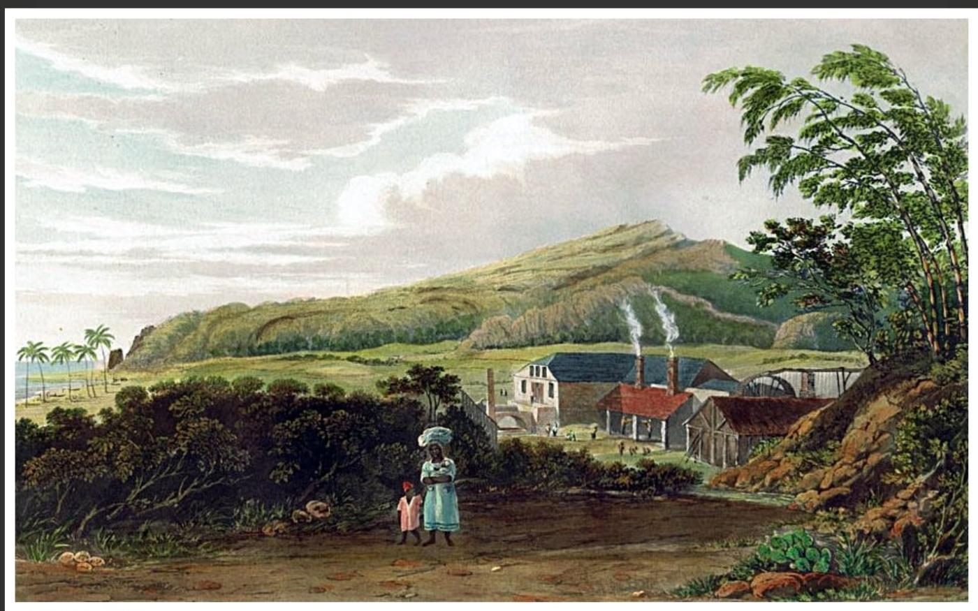 walibou estate painting by John Johnson