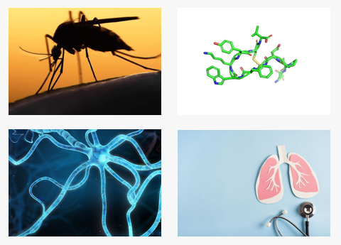 Key areas of focus in the Keltic Pharma therapeutic portfolio