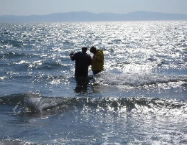 Image of two researchers waist high in the sea