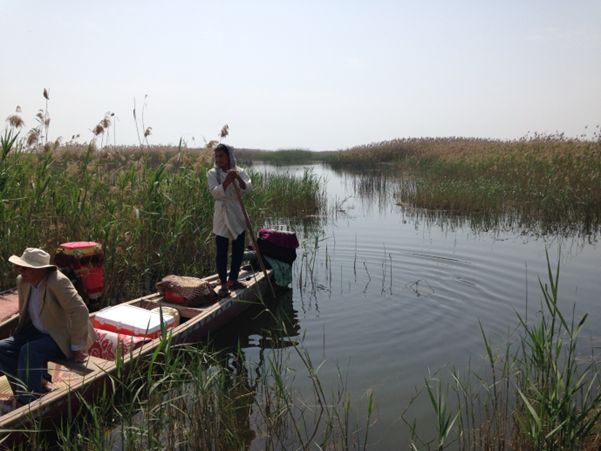 Navigating the Hammar marsh