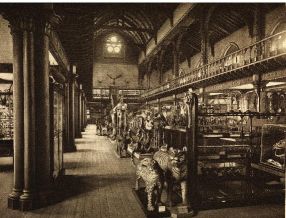 Interior of the Hunterian Museum, Glasgow