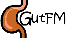 Gut FM