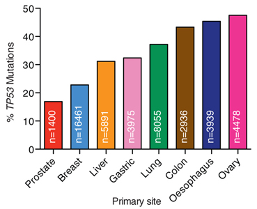 Patricia Roxburgh - mutation rate graph