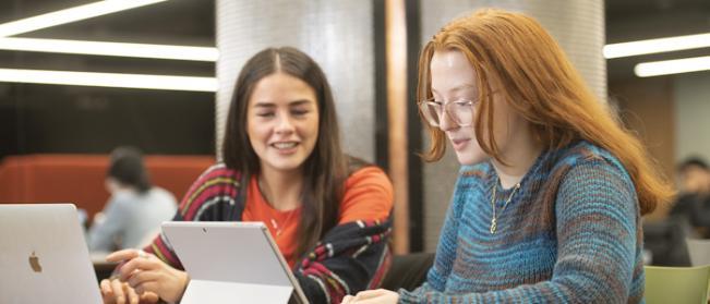 Students studying for a lecture