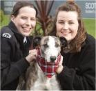 Classical music relaxes dogs in rehoming centres
Research manager Gilly Mendes Ferreira and PhD student Amy Bowman
with Maurice the lurcher