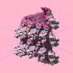 3D image of Respiratory Syncytial Virus