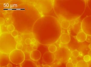 Lipid vesicles