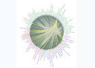 Image of the Metaphor Map visualisation