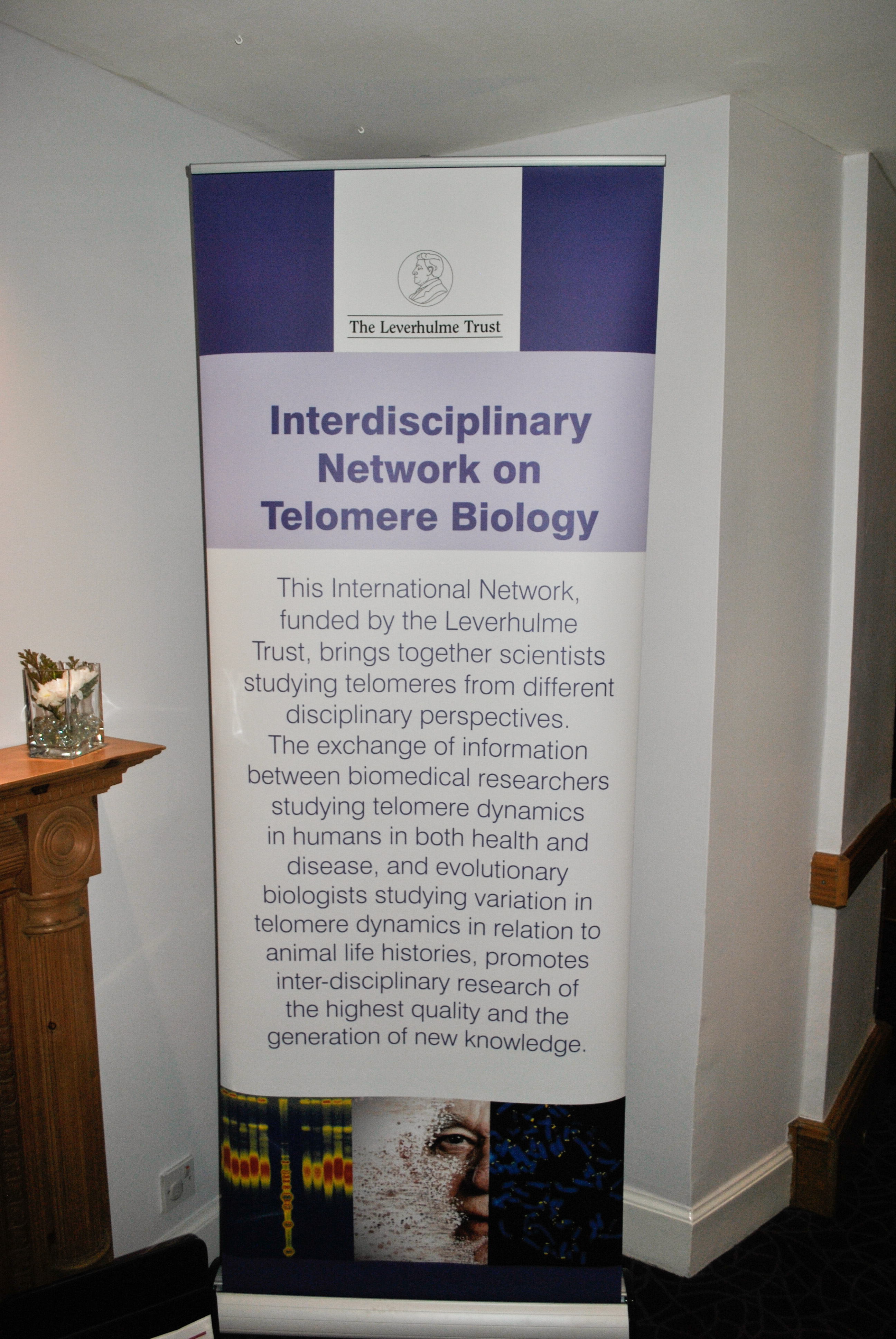 Showboard at Telomeres Dynamic Event