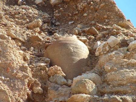 Amphora in sediments Loulos