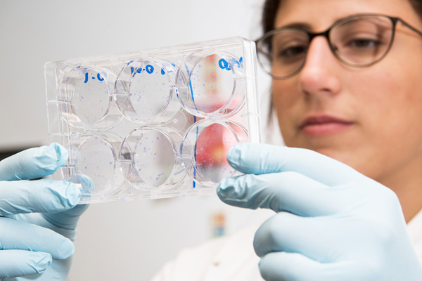 A scientist works on a biology experiment