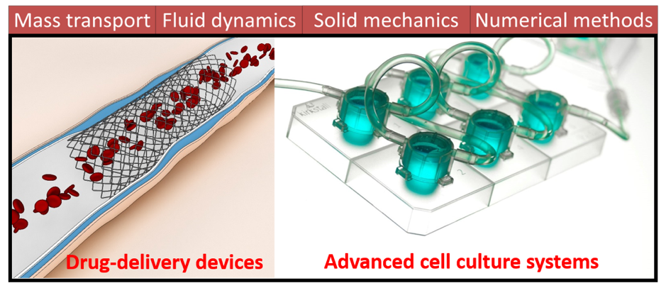 Modelling and Simulation in Drug Discovery and Drug Delivery