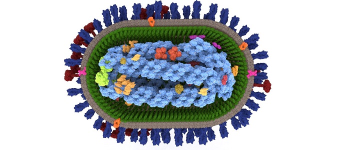 Mass spectrometry Live-attenuated influenza vaccine LAIV Influenza virus