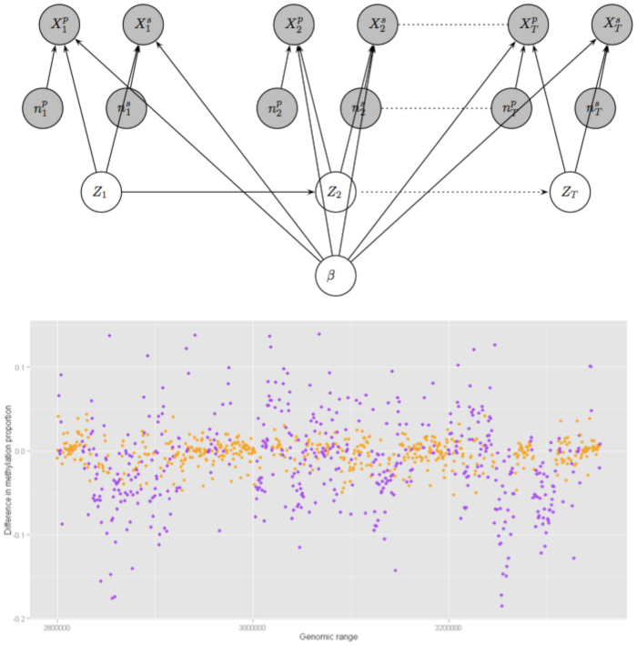 Hidden Markov Model: DAG and Output