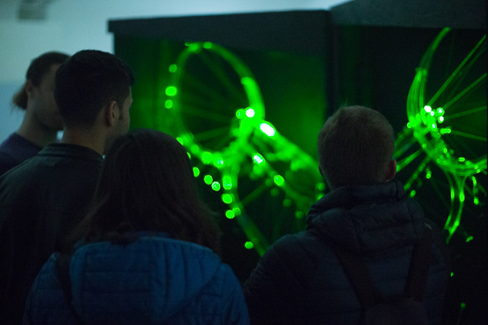 Photograph showing a laser display taking place in the dark with silhouettes of the audience visible. 