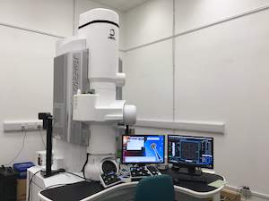 JEOL F2 cryo electron microscope in a lab