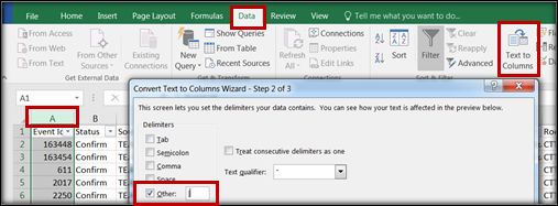 A screenshot from Excel showing the Text to Columns window, highlighting the key areas.