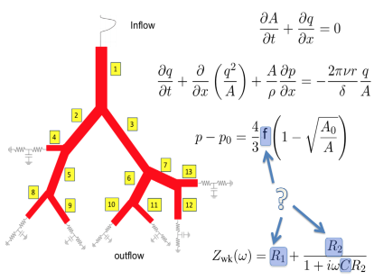 Figure of PDEs for inflow and outflow