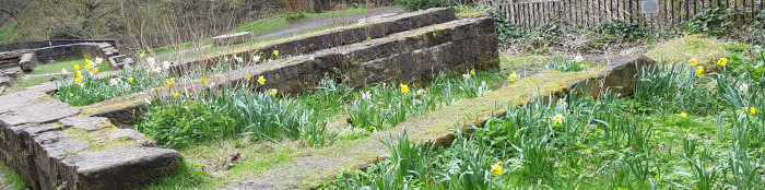 Brick walls and grass