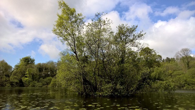 Lough Youn crannog, Northern Ireland.