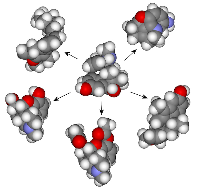 A diagram showing how assembly theory can rearrange a molecule into a number of different molecules which are all part of the same assembly tree