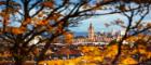 View of the University Main Building through Autumn leaves