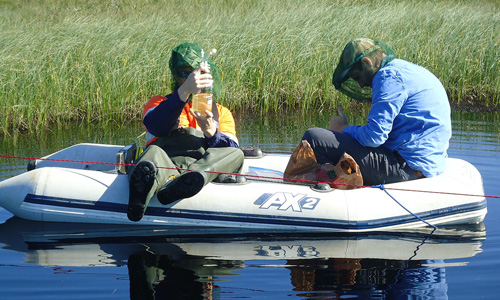 researchers checking water carbon dynamics