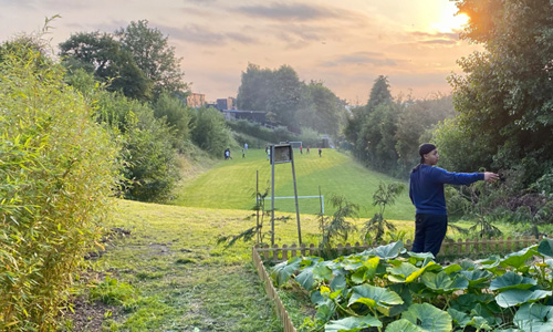 A researcher in a garden