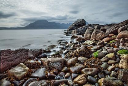 Image of seaweed on rocks