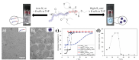 Scheme and cryo-EM images of the aggregation of Poly(N,N-Diethylacrylamide)-b-Poly(4-Acryloylmorpholine)