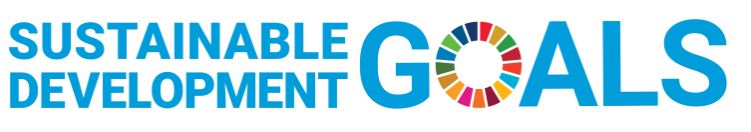 UN Sustainable Development Goals logo