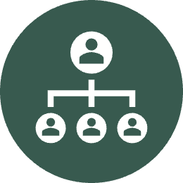 Organogram on a green background