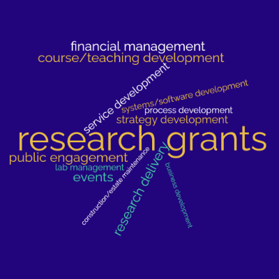 Wordcloud featuring: research grants in very large font, and then smaller: financial management, course/teaching development, service development, systems/software development, process development, strategy development, public engagement, lab management, events, construction/estate maintenance, research delivery, business development. 