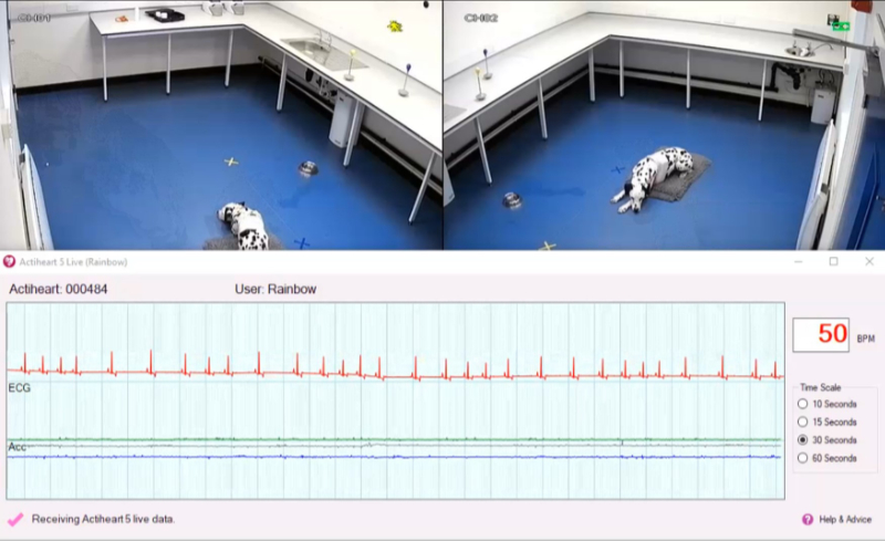 Richard Mott One Show Interview showing Dalmatian dog in lab 