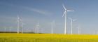 Wind turbines in a field