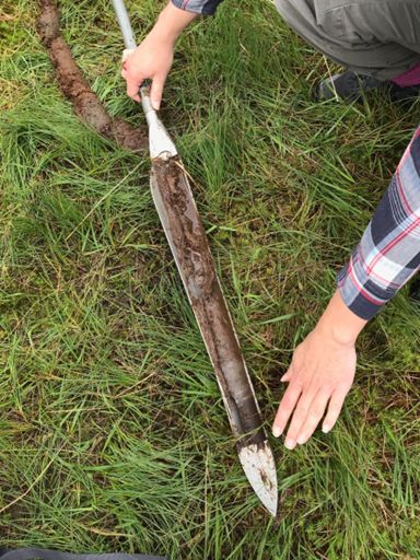 Core sample extracted from the Russian Corer.