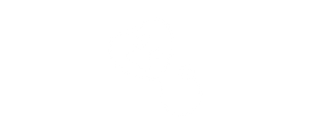 Pet stethoscope icon