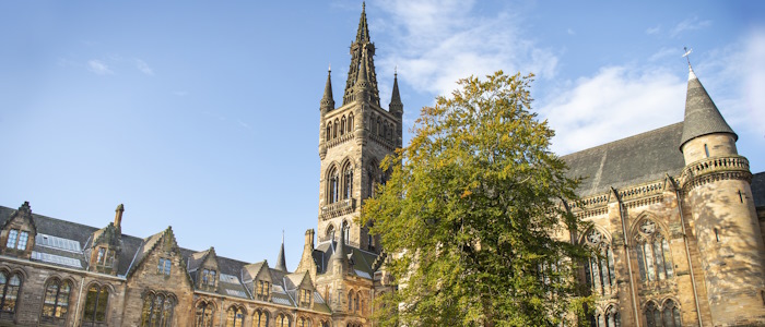 The main building tower and top of quadrangle tree