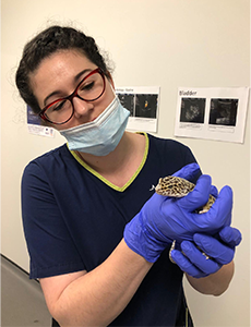 Image of Ana-Maria Rotariu holding a small animal